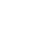 leaf-2-svgrepo-com 2